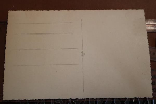 tolles altes Foto eines Scharführers der Waffen-SS mehrere Auszeichnungen